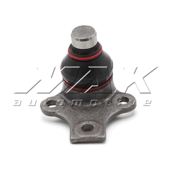MSU-BJ-V1300890