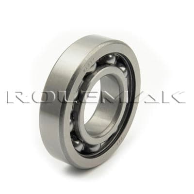 RLS16-2RS