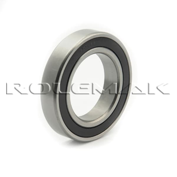 16010-2RS