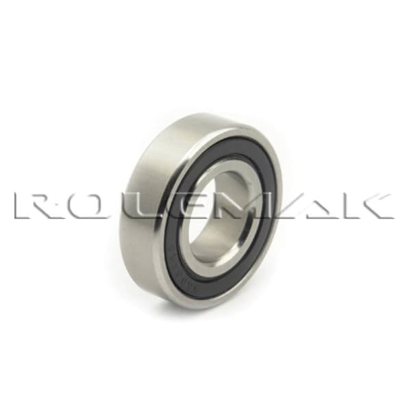 SS 6006-2RS