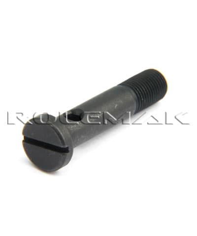 S419 (SK419)