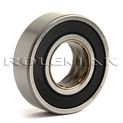 6004DW-2RS
