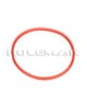 JA2 (MG-100)
