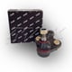 MSU-BJ-H1300620